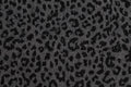 Leopard Noir Cotton — Pattern detail view