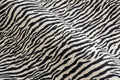 Mini Zebra Cotton — Pattern detail view