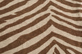 Zebra Trail Canvas — Pattern detail view
