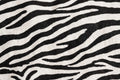 Zebra Tuxedo Cotton — Pattern detail view