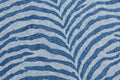 Blue Zebra Cotton — Pattern detail view