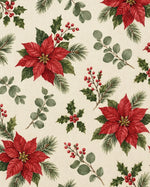 Winter Botanical — main
