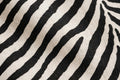 Classic Zebra Cotton — Pattern detail view