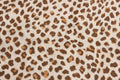 Desert Animal Print Linen — Pattern detail view