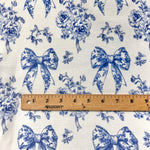 French blue ribbon toile fabric texture close-up