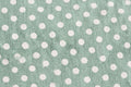 Mint Polka Dot Cotton — Pattern detail view