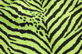 Neon Zebra Jersey Knit — Pattern detail view