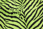 Neon Zebra Jersey Knit — Pattern detail view