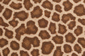 Savanna Animal Print Cotton — Pattern detail view
