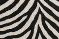 Zebra Print Cotton — Pattern detail view
