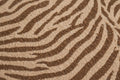 Zebra Safari Flannel — Pattern detail view